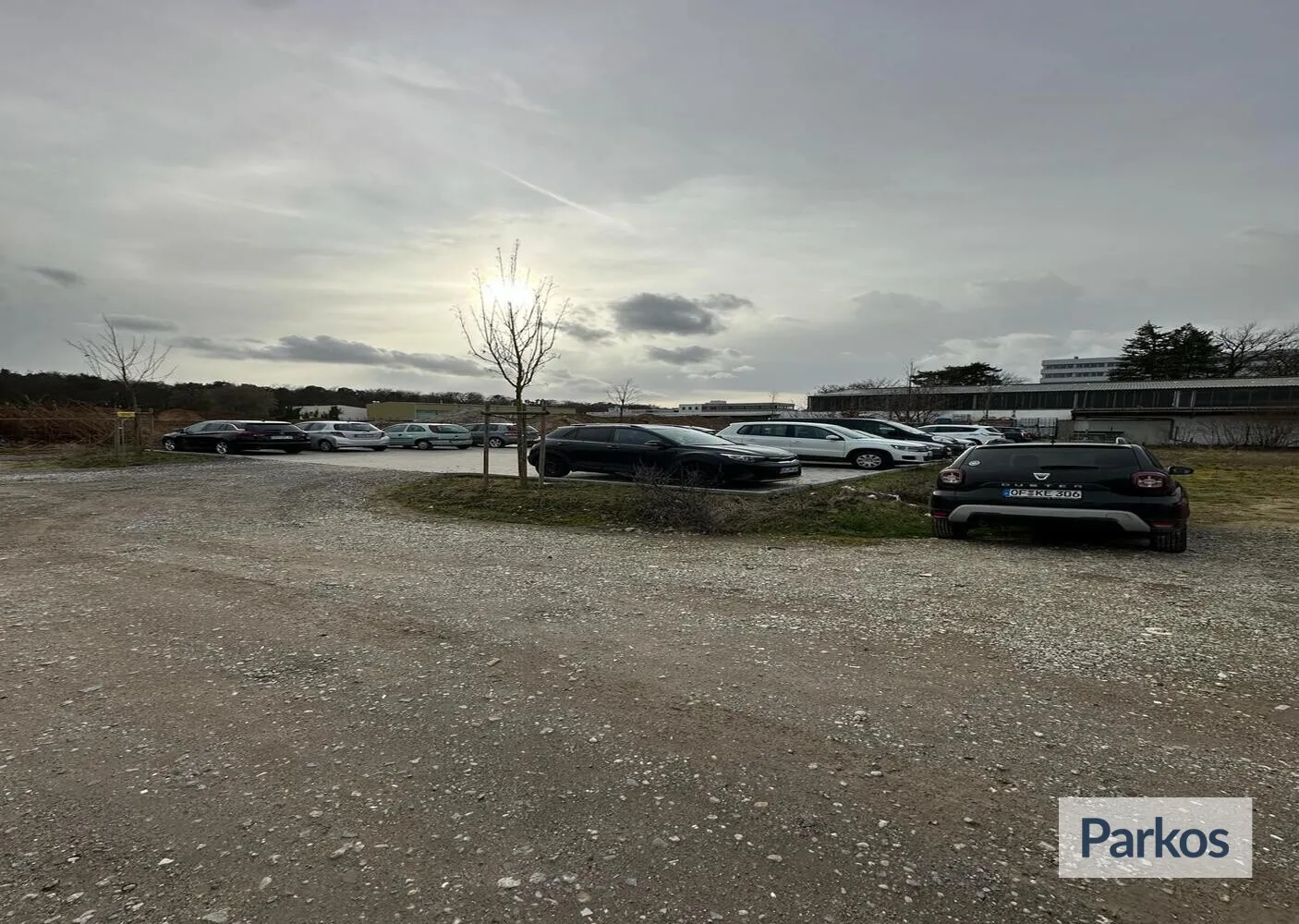 Parklöwe - Parking Aéroport Francfort - picture 1
